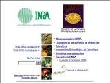 http://www.inra.fr/