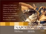 http://www.musees-nationaux-napoleoniens.org/